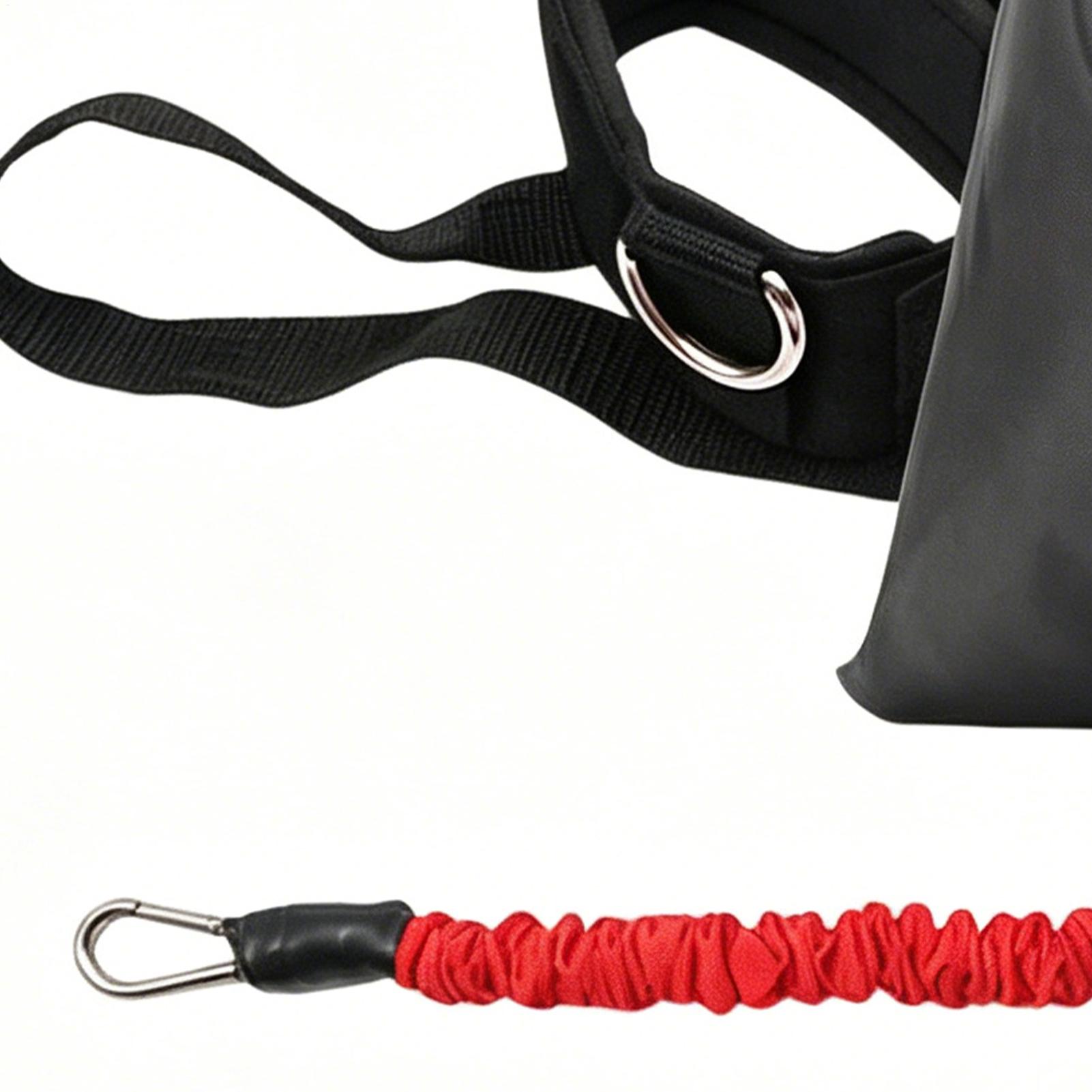 Ayuda para el entrenamiento de - Training Aid Swing reseña y precio